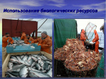 Об утверждении правил рыболовства для Азово-Черноморского рыбохозяйственного бассейна